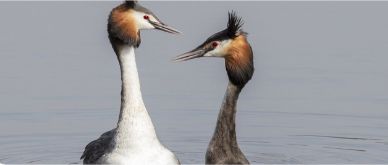 Inview September 2021